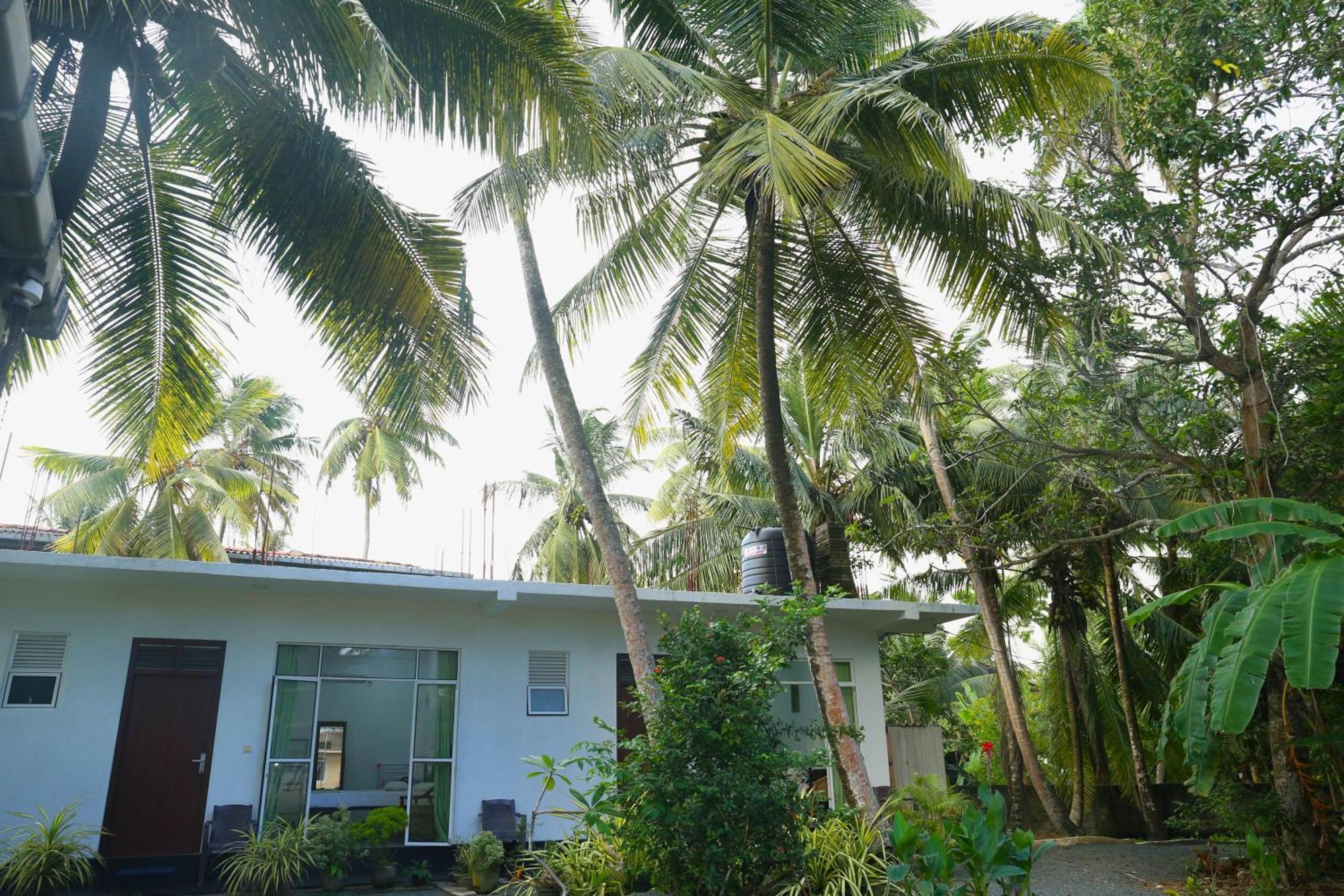 Sandy Palms Guesthouse Hikkaduwa Bagian luar foto