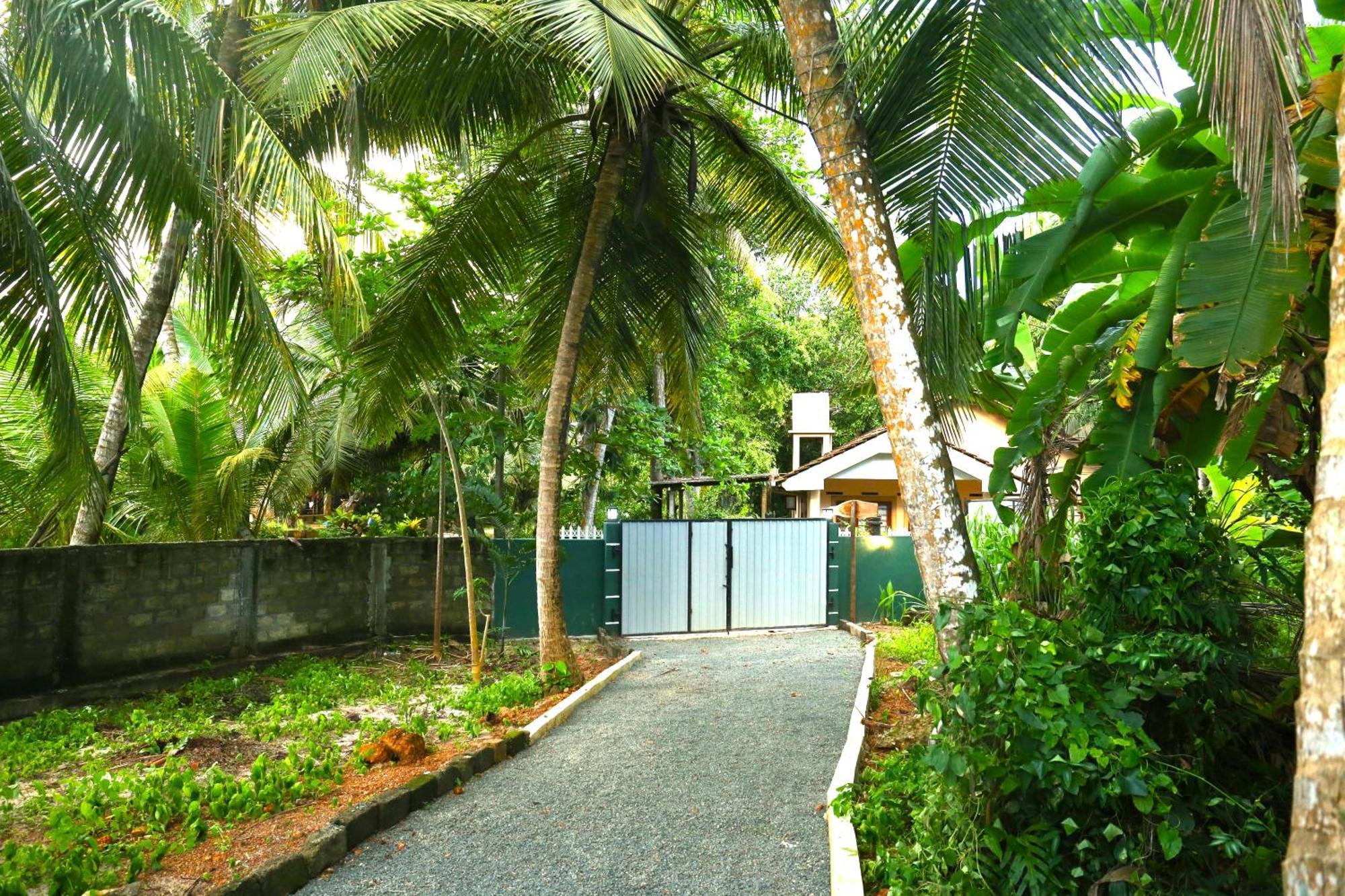 Sandy Palms Guesthouse Hikkaduwa Bagian luar foto