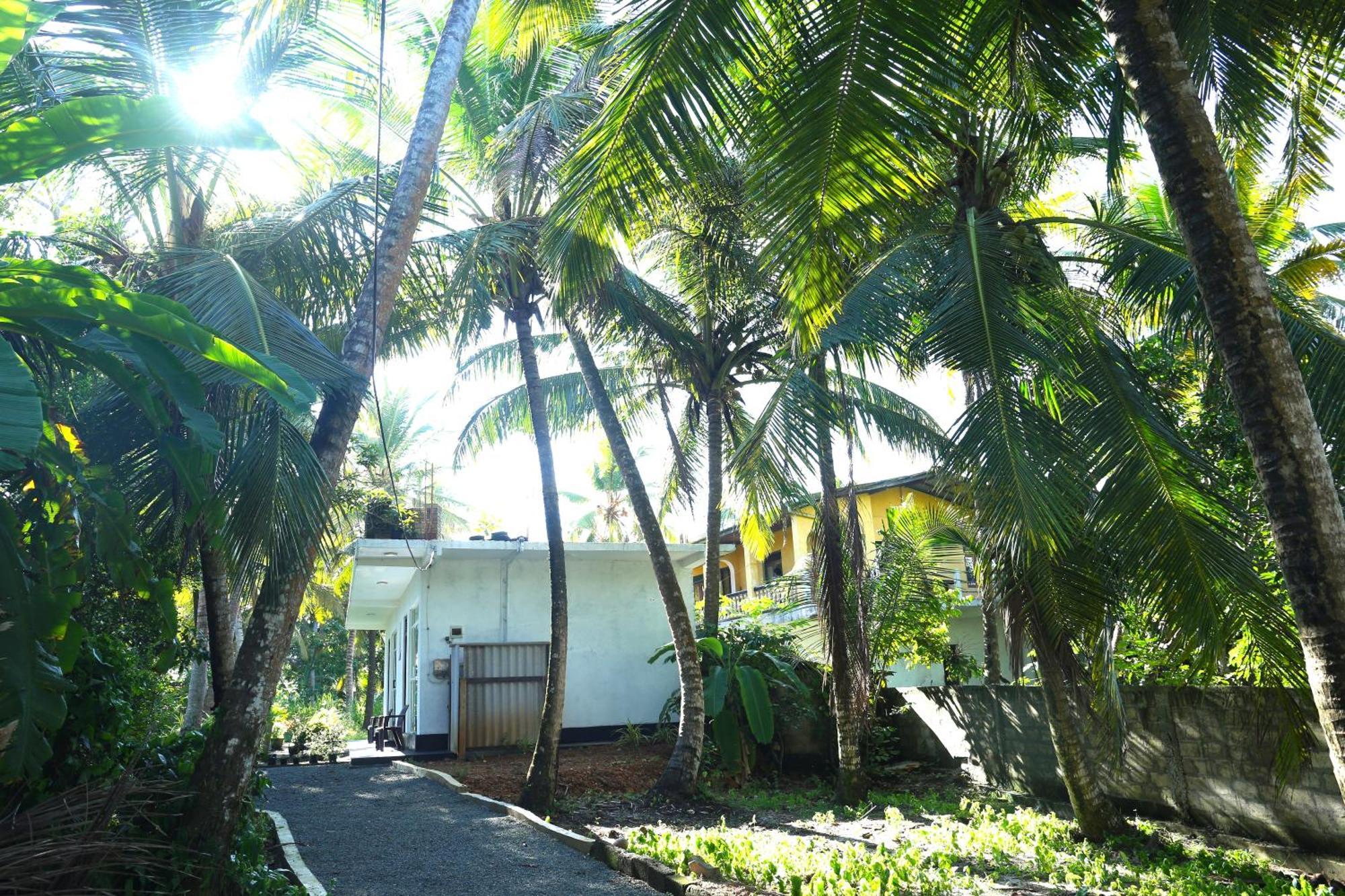 Sandy Palms Guesthouse Hikkaduwa Bagian luar foto